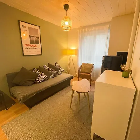 Le Cocoon - Cosy, Centre Ville, Terrasse Apartamento Le Chambon-sur-Lignon