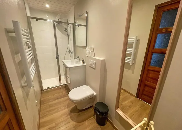 Le Cocoon - Cosy, Centre Ville, Terrasse Apartment Le Chambon-sur-Lignon